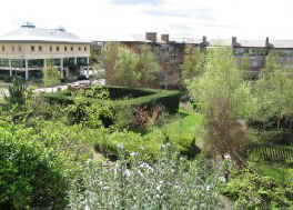 Garden Apr 2005