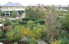 Garden Oct 2005